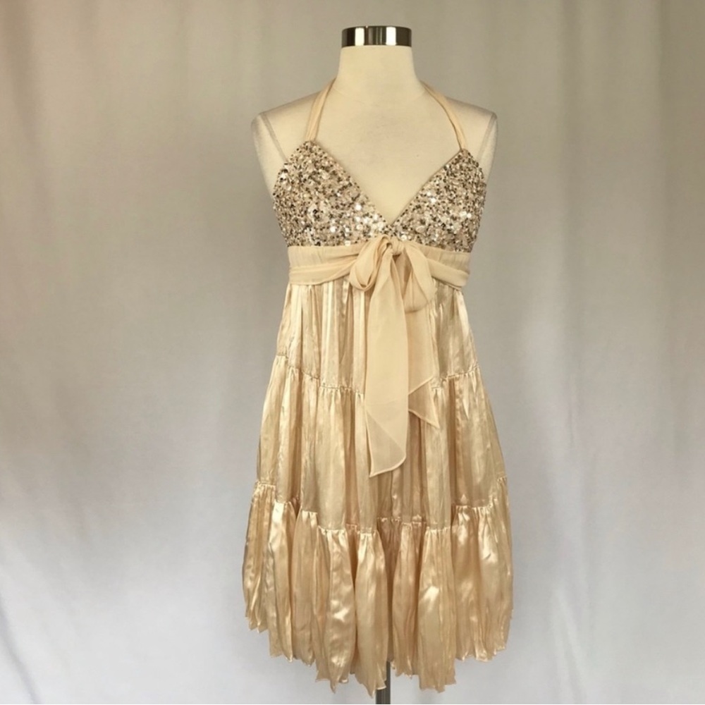 Vintage BCBG Prom Dress - 2011